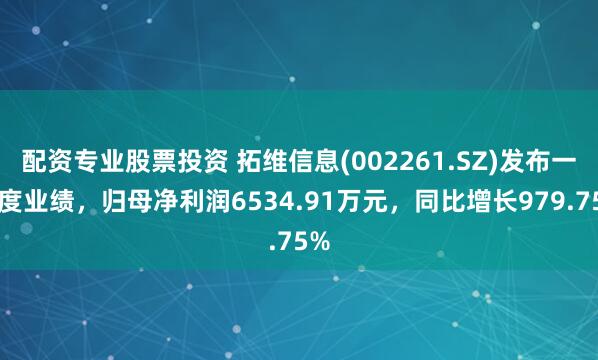 配资专业股票投资 拓维信息(002261.SZ)发布一季度业绩，归母净利润6534.91万元，同比增长979.75%