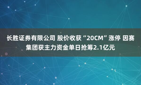 长胜证券有限公司 股价收获“20CM”涨停 因赛集团获主力资金单日抢筹2.1亿元